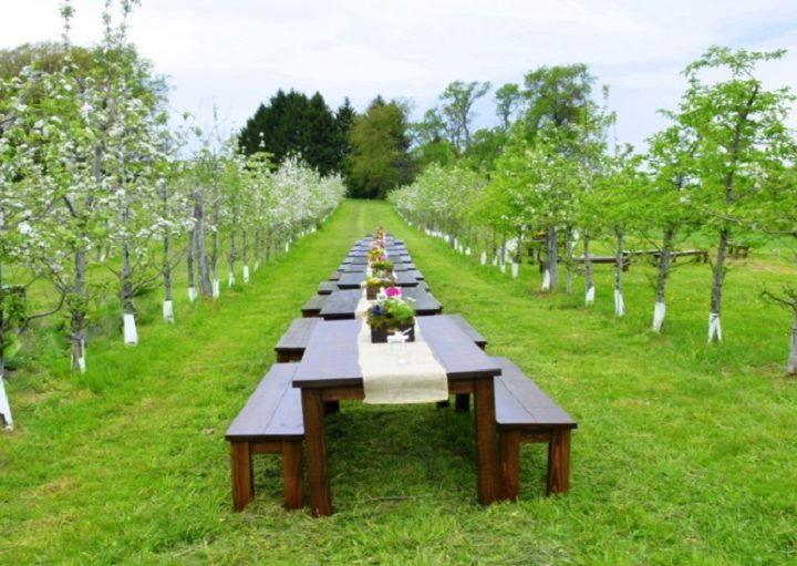 The Ultimate Appeal of Orchard Wedding Venues for Couples Seeking an Idyllic and Serene Setting